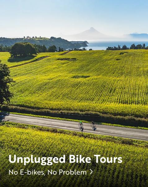 Two cyclists riding on a road through vineyards. Text overlay reads: "Unplugged bike tours, no e-bikes, no problem".