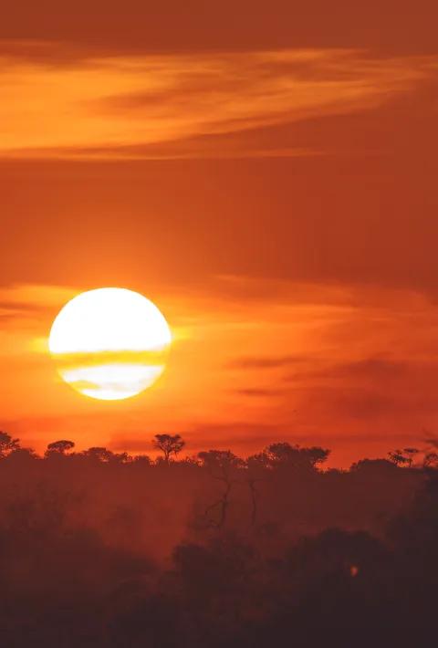 A vibrant sunset over an African savanna, featuring a bright, low sun glowing through orange-hued clouds above a silhouetted tree line.