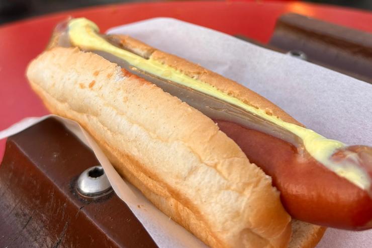 The popular Icelandic hot dog, with everything.