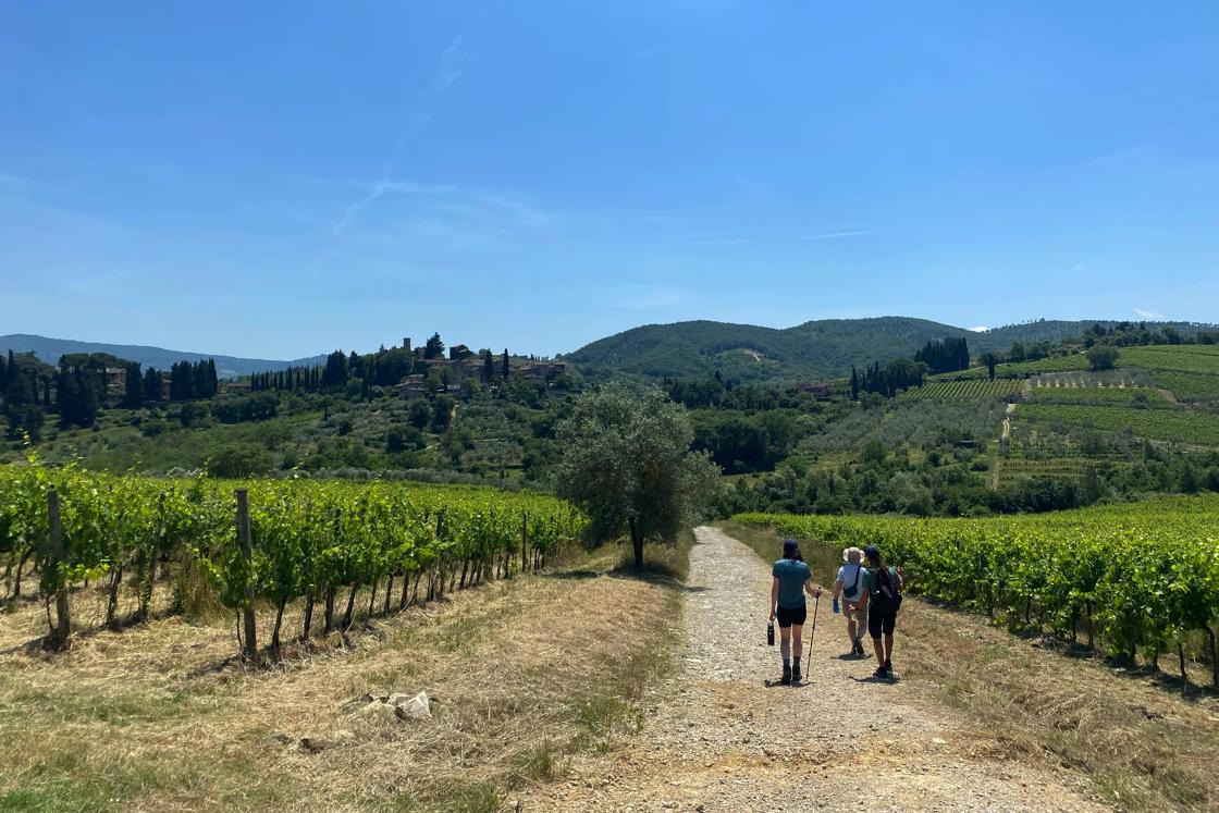 Walking past vineyards in California's Napa Valley.