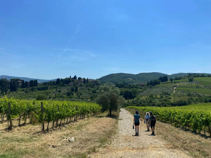 Walking past vineyards in California's Napa Valley.