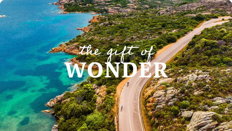 along a rocky shoreline next to turquoise blue water, with the text "the gift of WONDER" overlaid in the center.