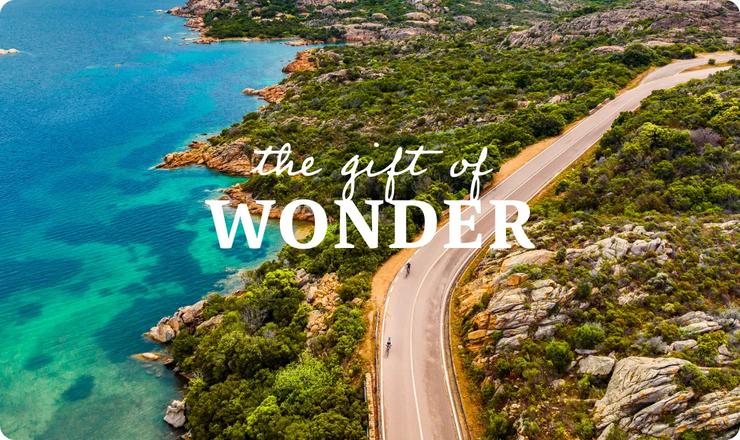 along a rocky shoreline next to turquoise blue water, with the text "the gift of WONDER" overlaid in the center.