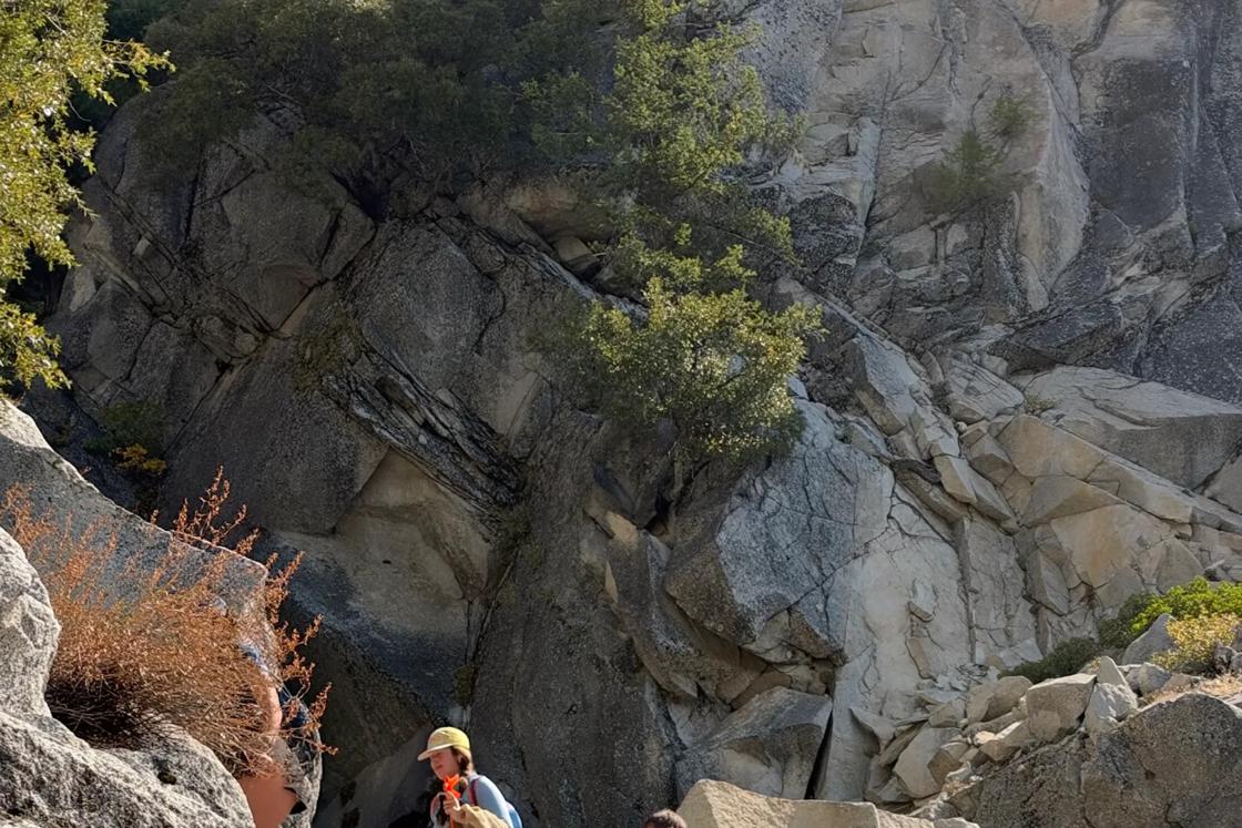Volunteers from the Backroads Berkeley headquarters head out on their service project for Yosemite FaceLift 2026.