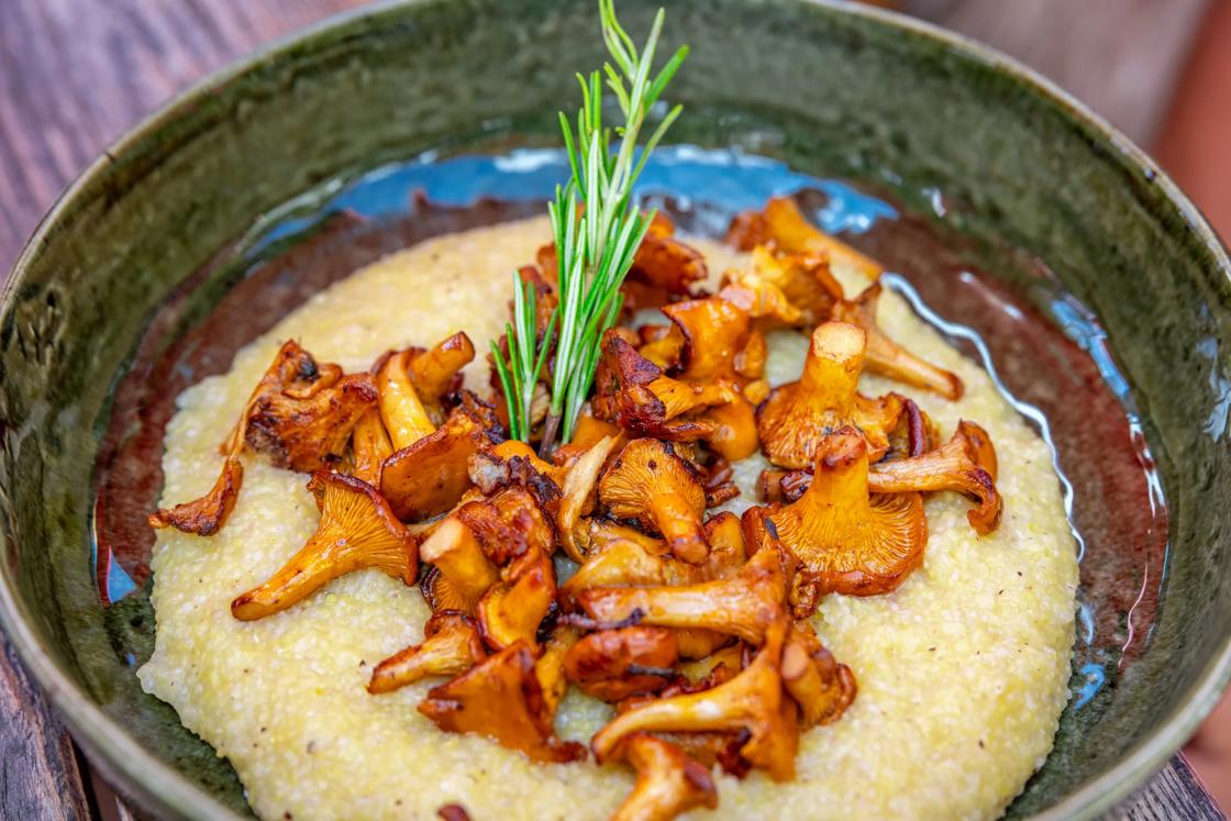Polenta with mushrooms, garnished with rosemary.
