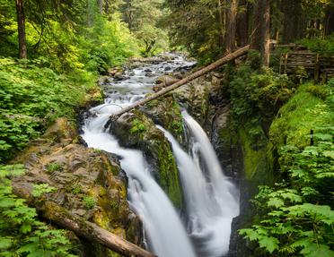A cascading waterfall flowing over rocky terrain through a lush, green forest surrounded by dense trees, ferns, and a wooden viewing platform.