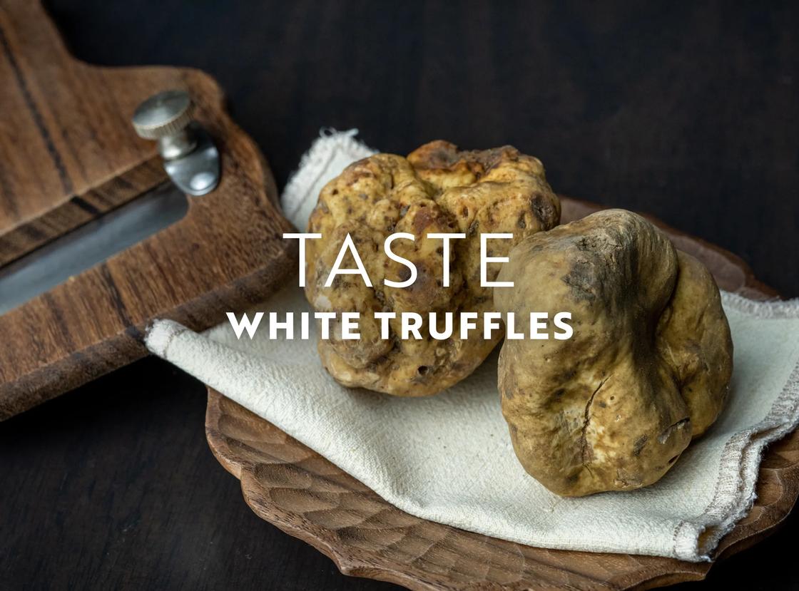 Taste white truffles of Italy