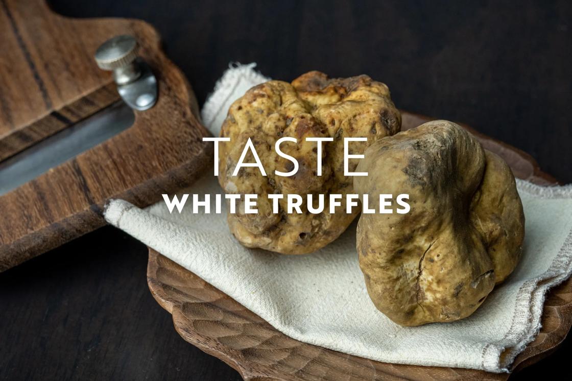 Taste white truffles of Italy