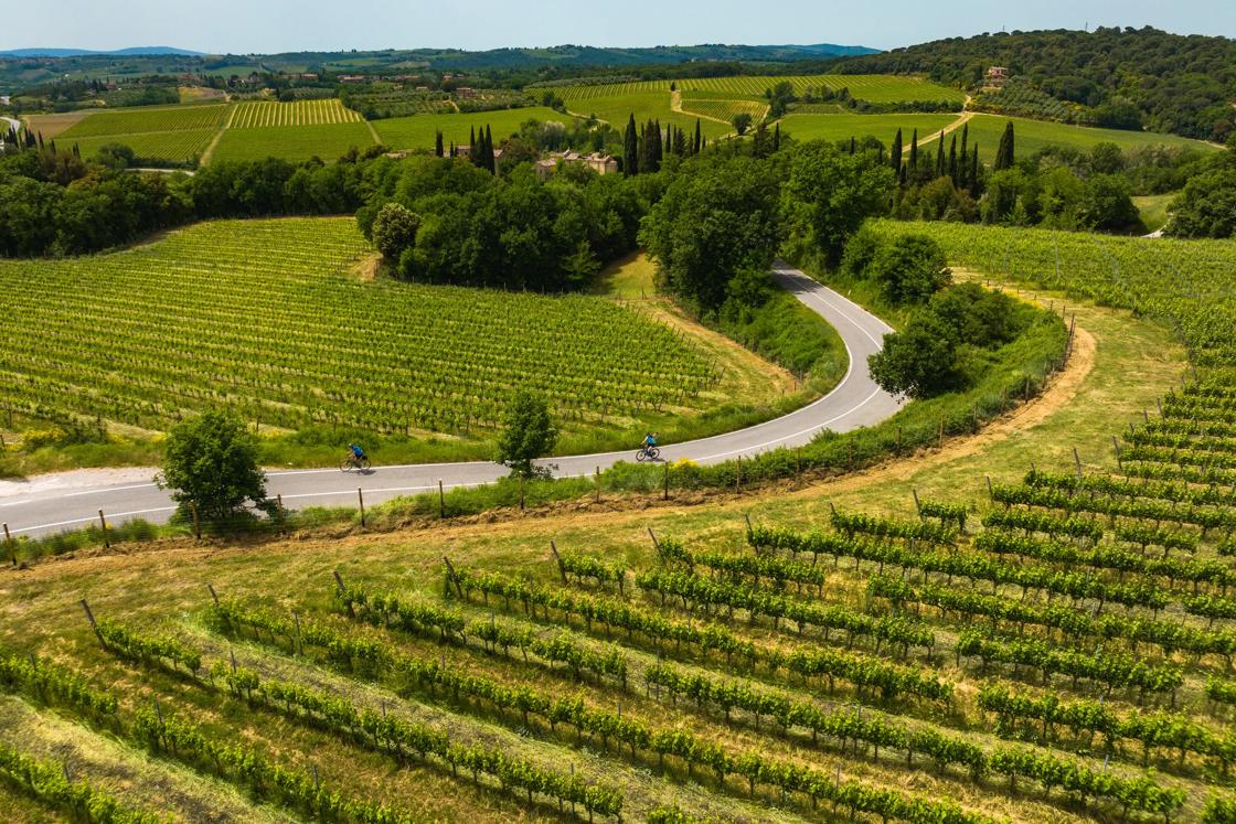 Two cyclists along a winding road through miles of vineyards in Tuscany.
