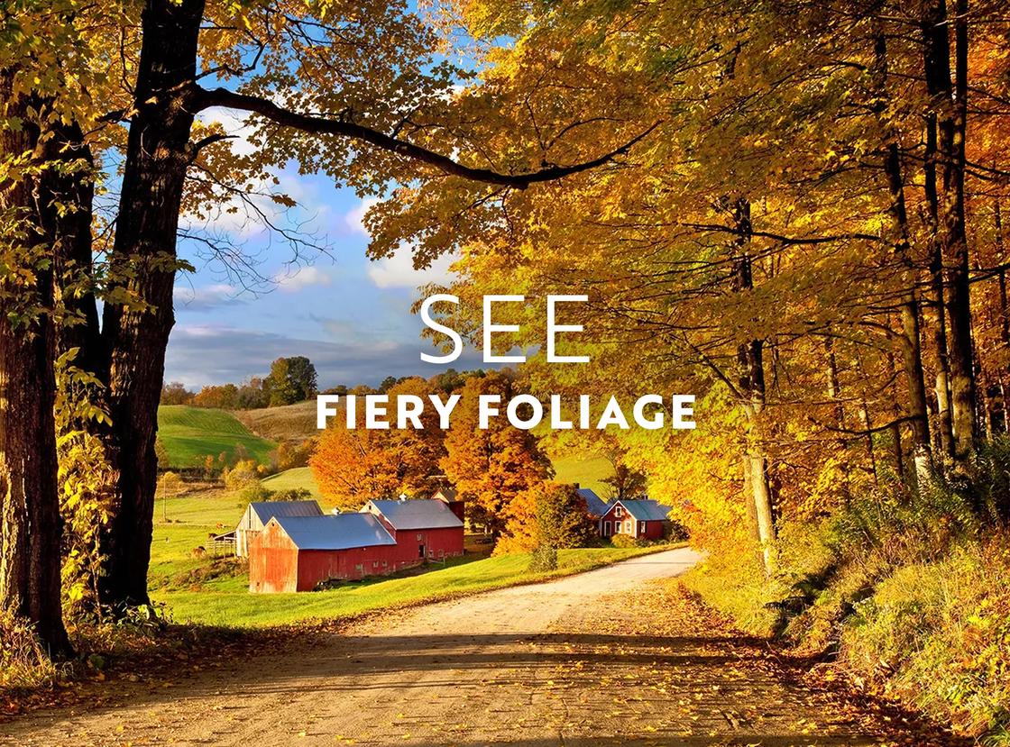 In September, the foliage turns fiery in Vermont.