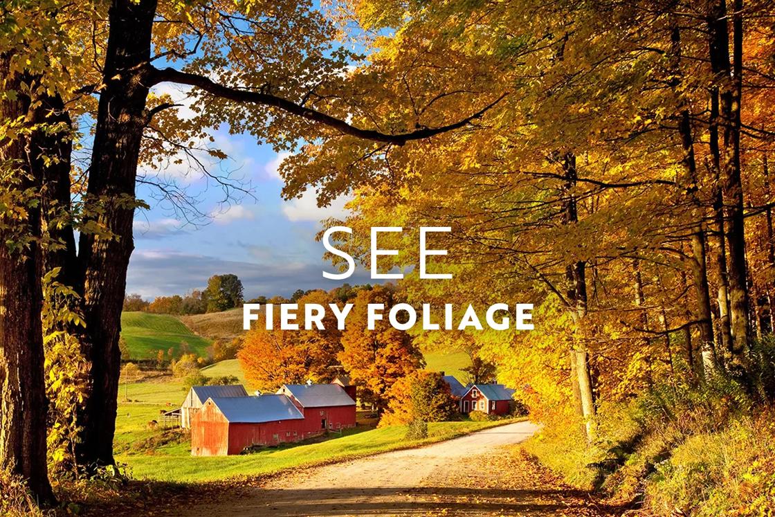 In September, the foliage turns fiery in Vermont.
