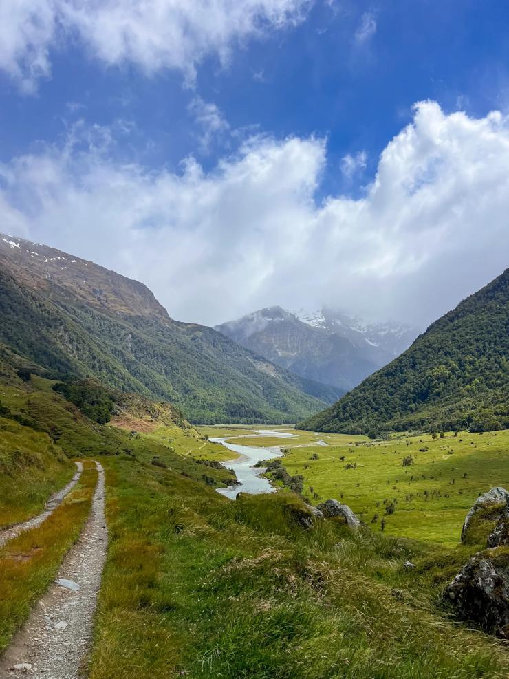 The fjords of New Zealand's South Island.
