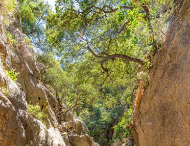 Two guests hike a narrow, rocky trail of the Kritsa Gorge in Crete, Greece.