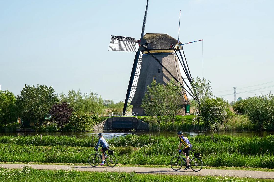 Backroads cyclists ride past windmills in the Netherlands.