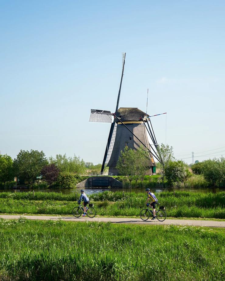 Backroads cyclists ride past windmills in the Netherlands.