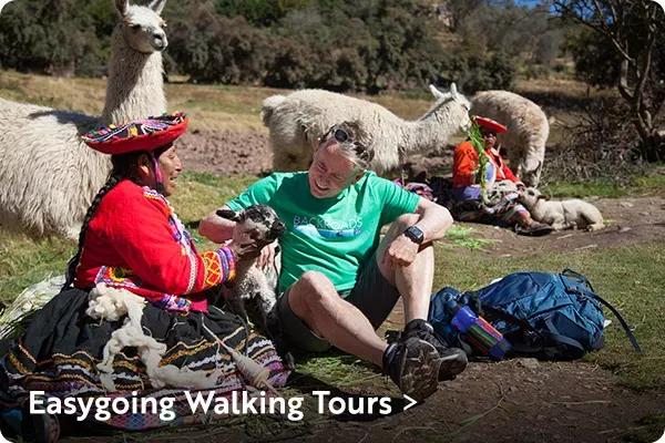 Here is alt text describing the image:

**Alt Text:** A man sitting outdoors on the ground interacting with a local woman in traditional Andean clothing while petting a small lamb, with llamas standing in the grassy background. In the lower left corner, bold white text reads "Easygoing Walking Tours >".