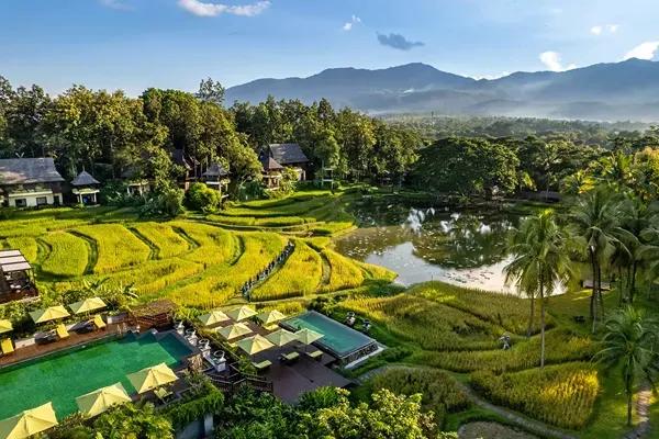 The Four Seasons Resort Chiang Mai is nestled amid lush tropical gardens and working rice terraces and is located in the Mae Rim Valley of Chiang Mai, Thailand.