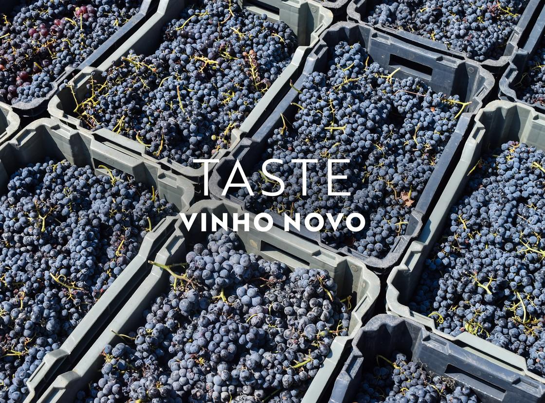 Portugal&rsquo;s Douro Valley vindima (harvest) is in September, when grapes are crushed by foot to kick-start natural fermentation.