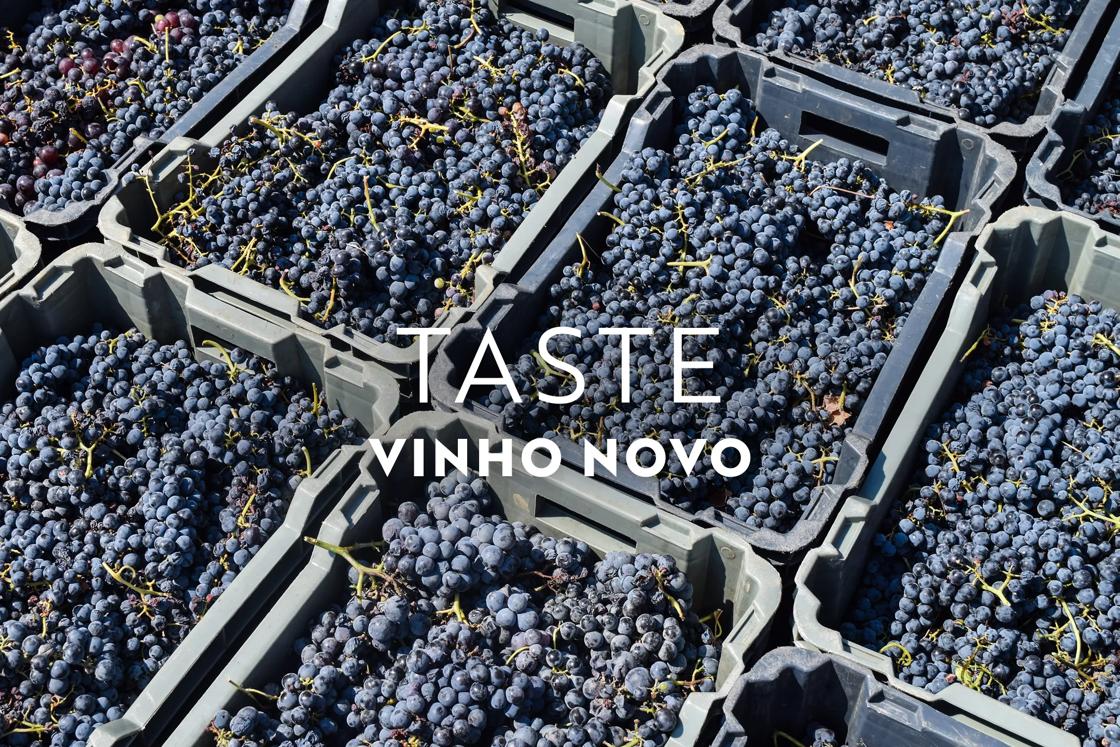 Portugal&rsquo;s Douro Valley vindima (harvest) is in September, when grapes are crushed by foot to kick-start natural fermentation.