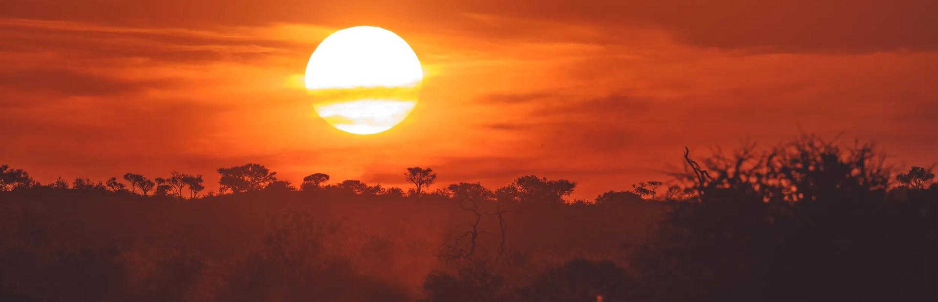 A vibrant sunset over an African savanna, featuring a bright, low sun glowing through orange-hued clouds above a silhouetted tree line.